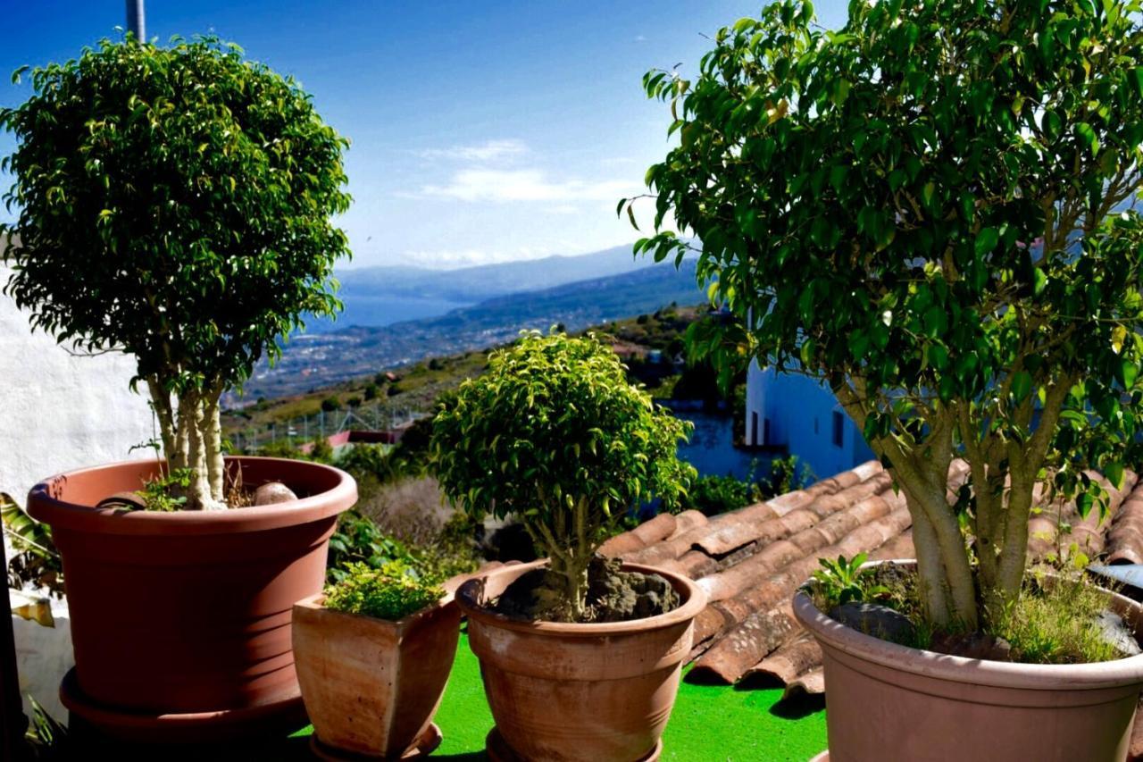 Finca Casa Madera 1 Icod De Los Vinos Luaran gambar